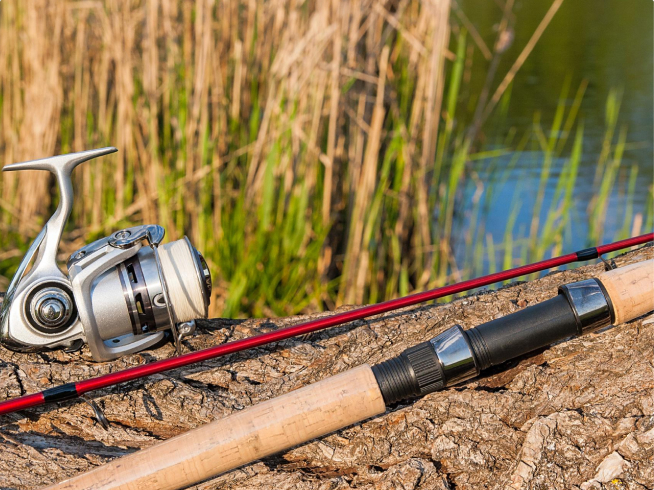 fishing-rods